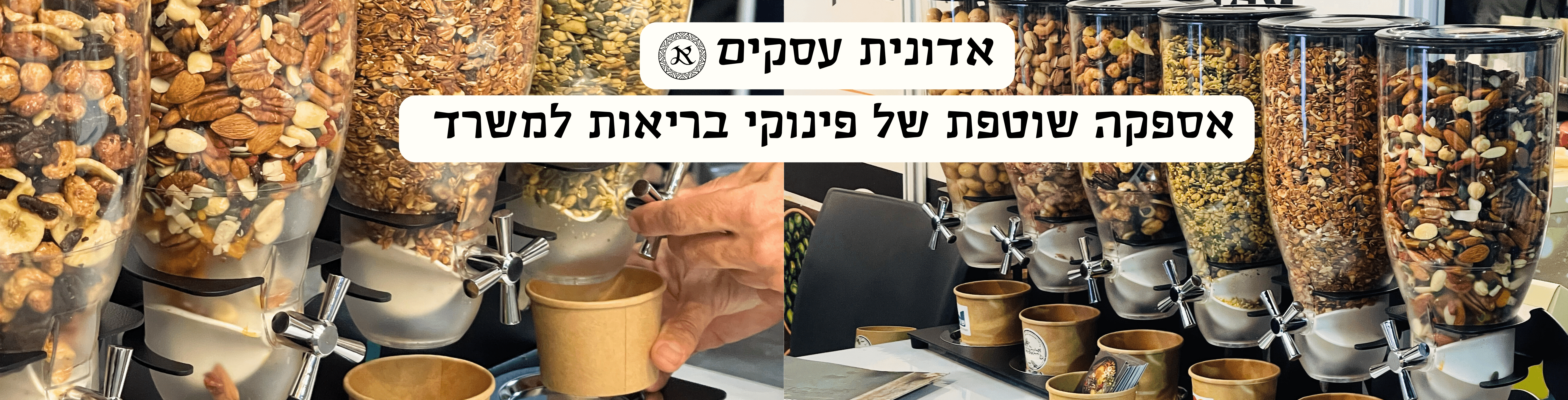 אדונית לעסקים 