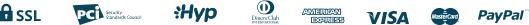paypal_icon