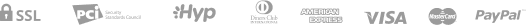 paypal_icon