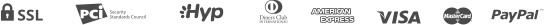 paypal_icon