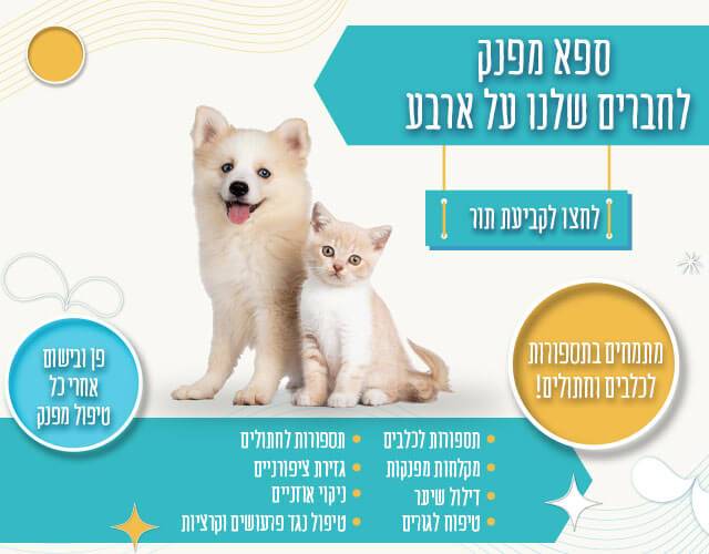 מבצעים שווים