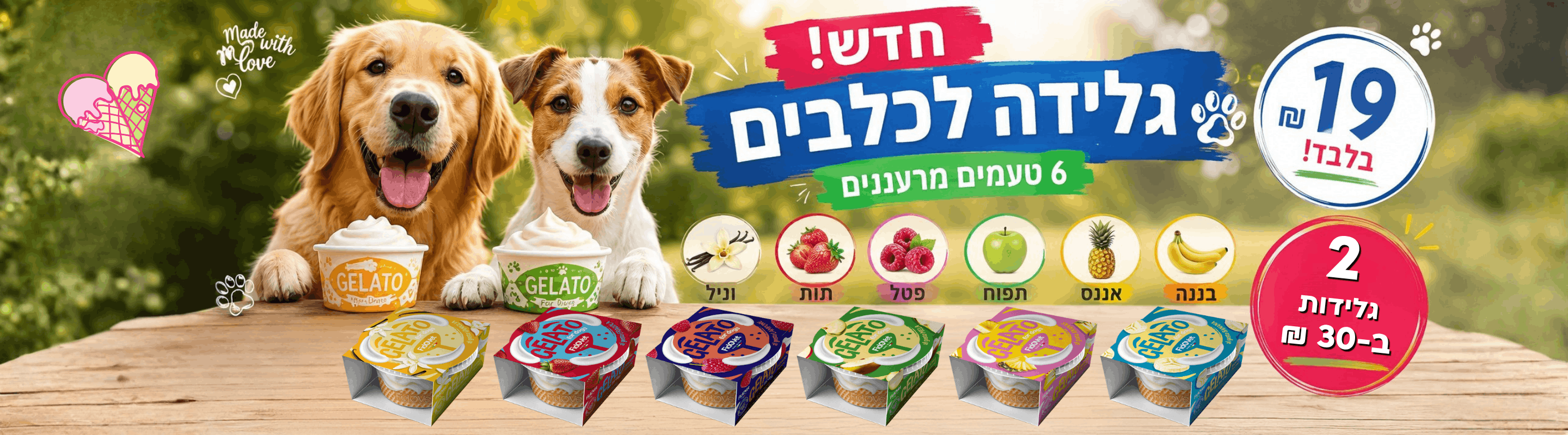 גלידה לכלבים