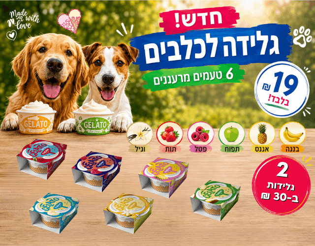 גלידה לכלבים