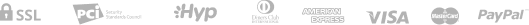 paypal_icon