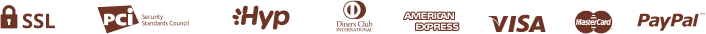 paypal_icon