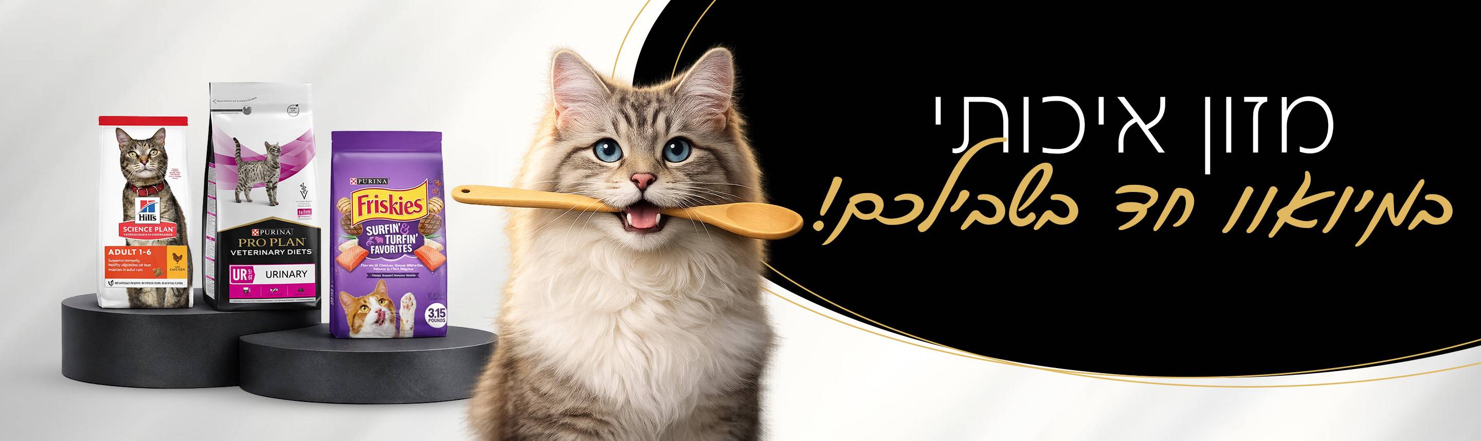 אוכל לחתולים