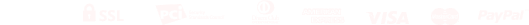 paypal_icon