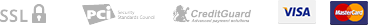 paypal_icon