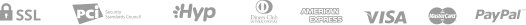 paypal_icon