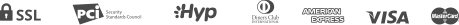 paypal_icon