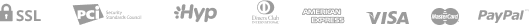paypal_icon