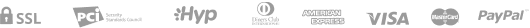 paypal_icon