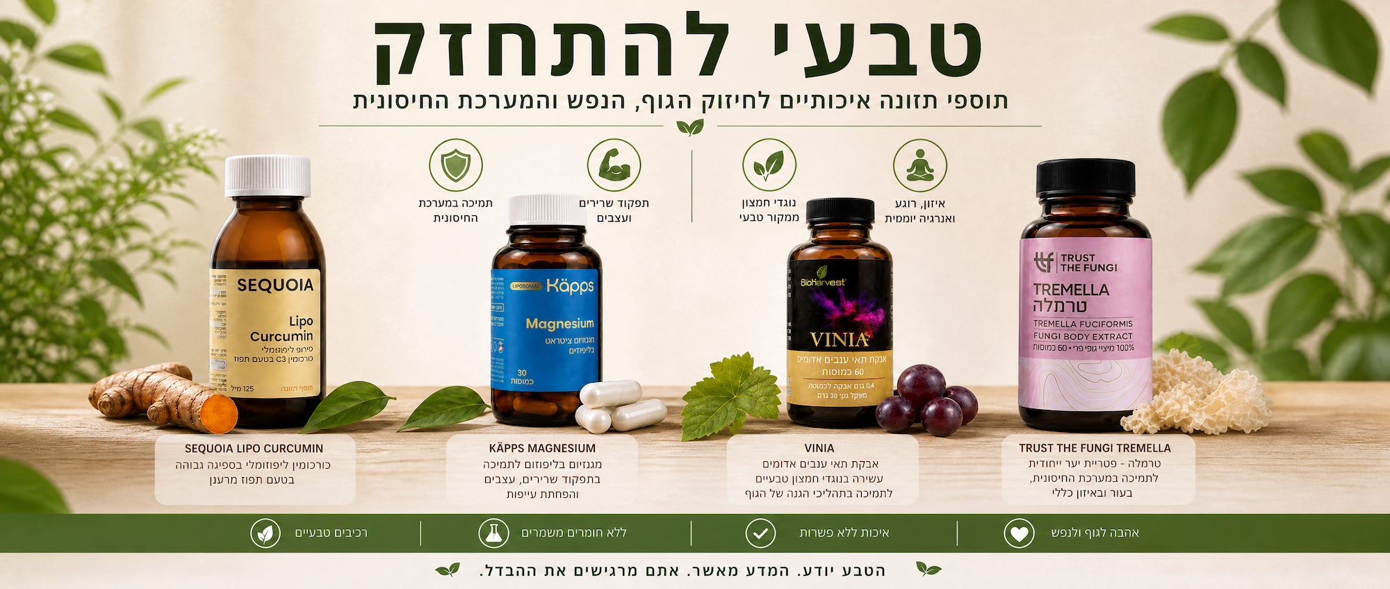תוספי תזונה 