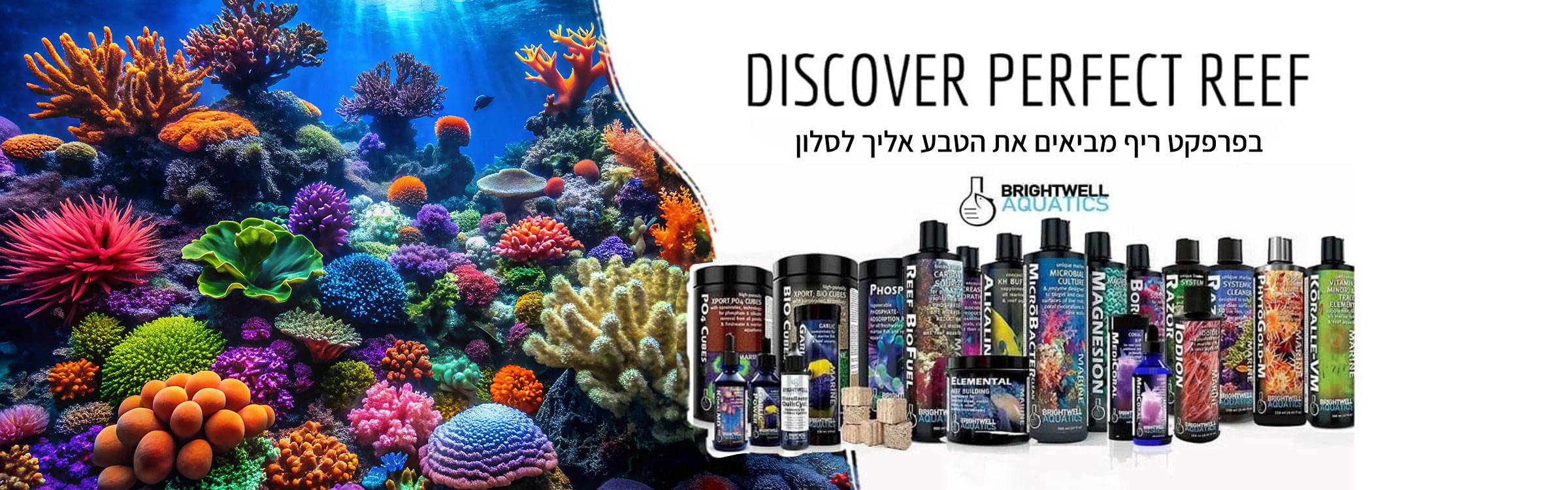 בריטוול