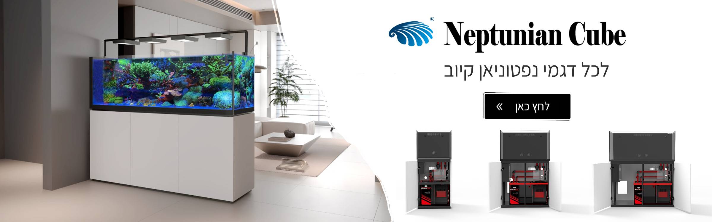 נפטוניאן קיוב