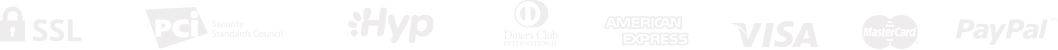 paypal_icon