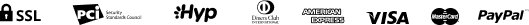 paypal_icon
