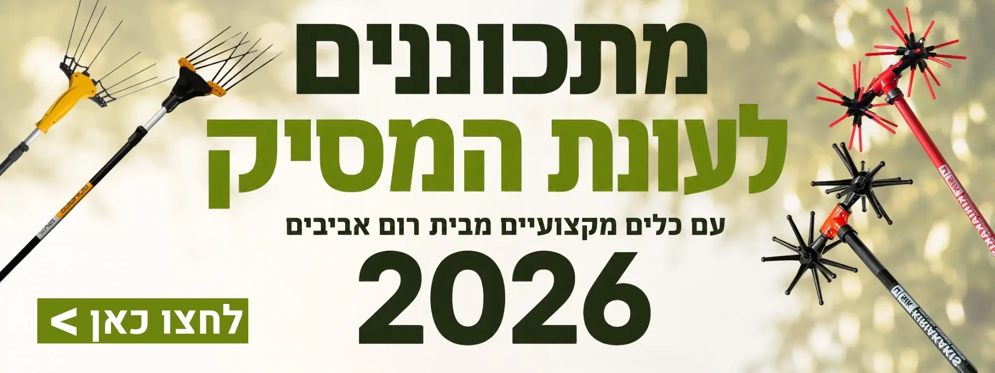 עונת המסיק 2026 