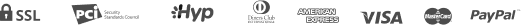 paypal_icon