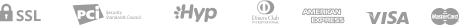 paypal_icon