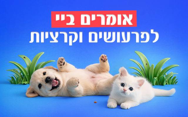 מוצרי הדברה לכלבים וחתולים