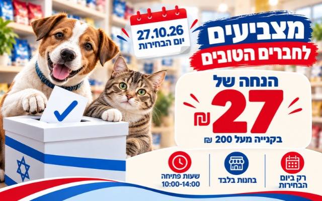 מבצע בחירות