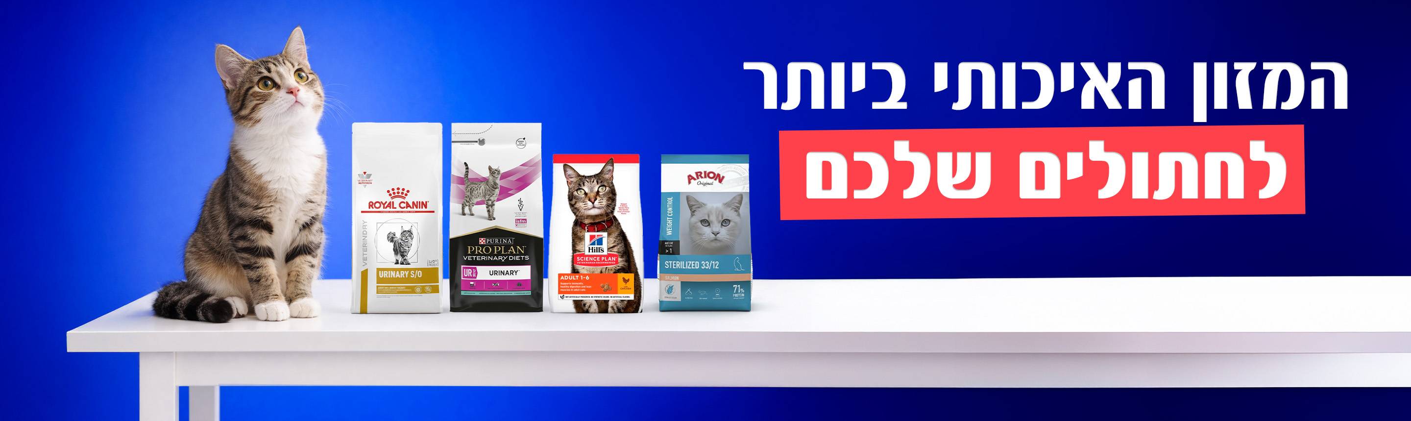 מזון לחתולים