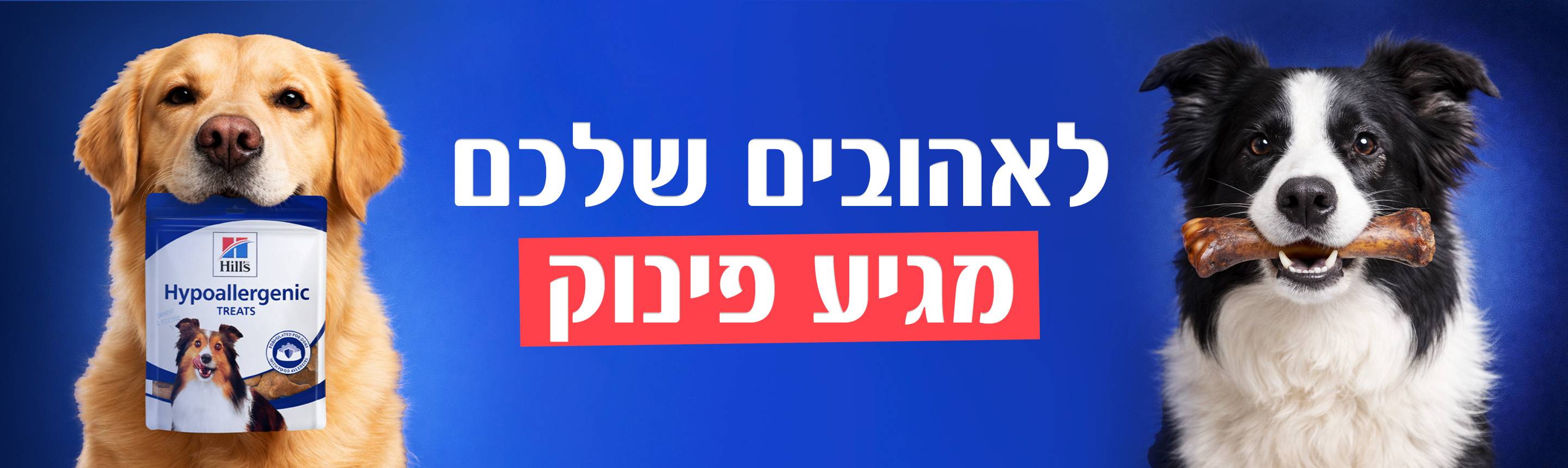 חטיפים