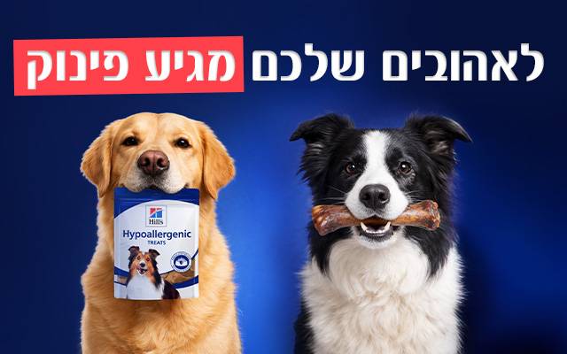 חטיפים
