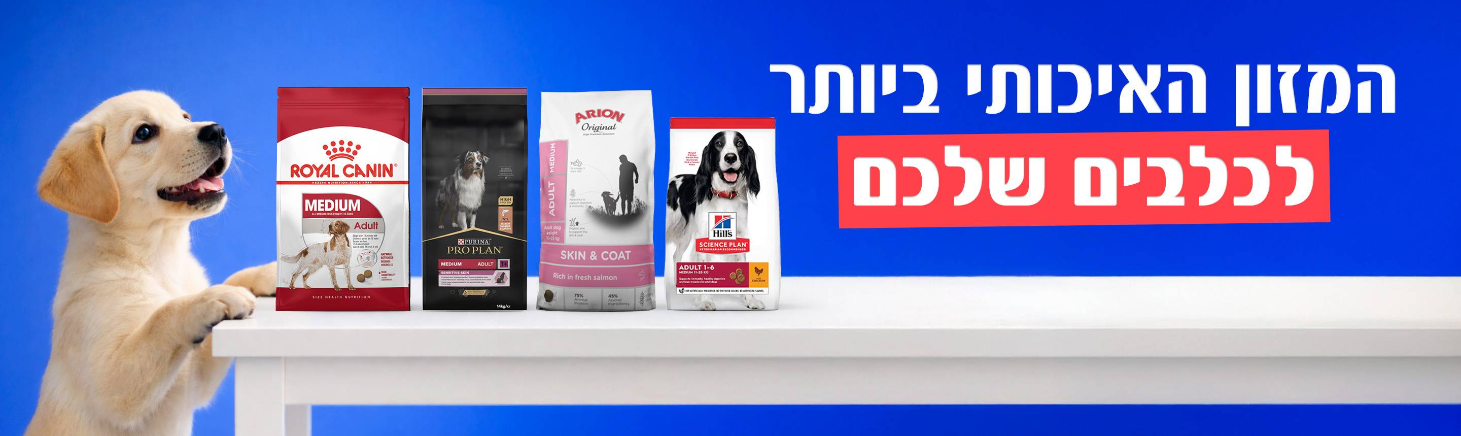 מזון לכלבים