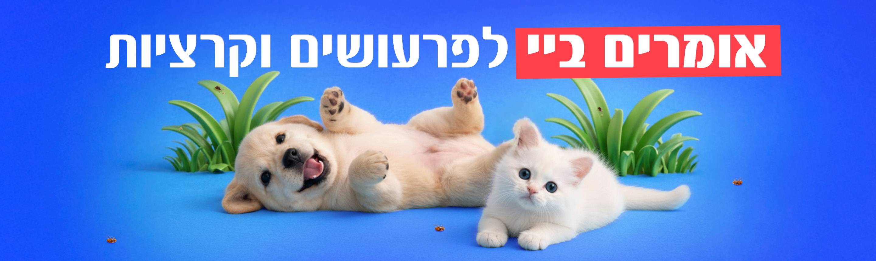 מוצרי הדברה לכלבים וחתולים