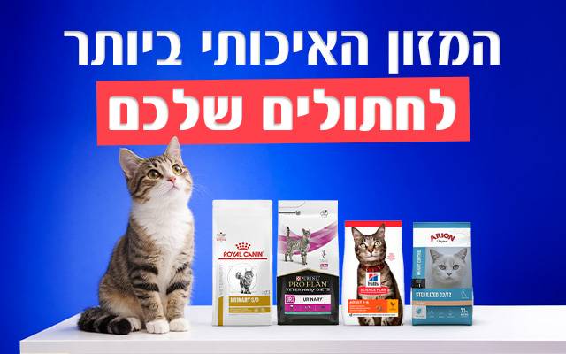 מזון לחתולים
