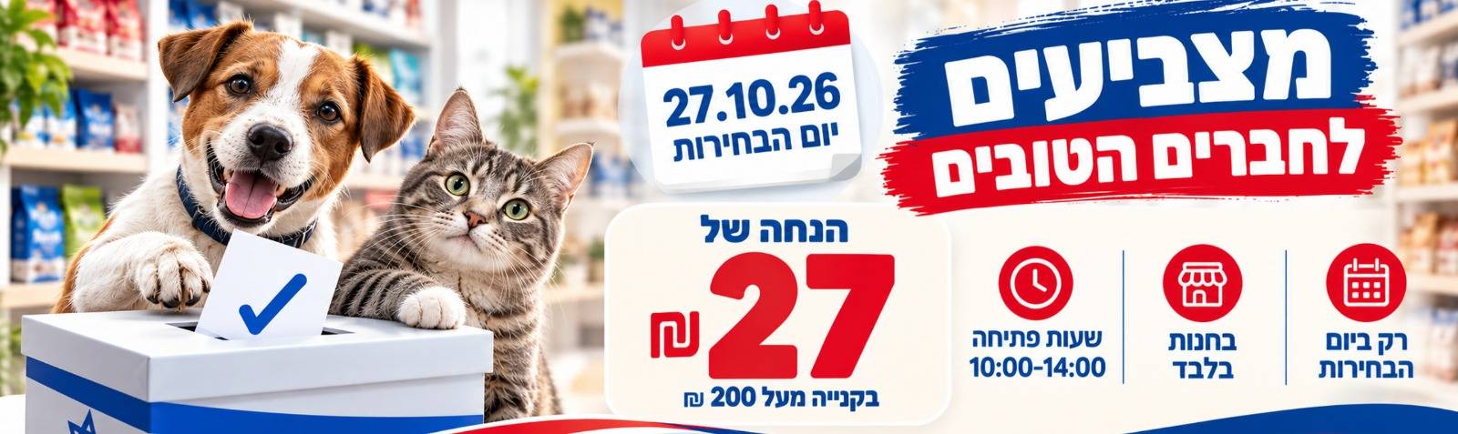 מבצע בחירות